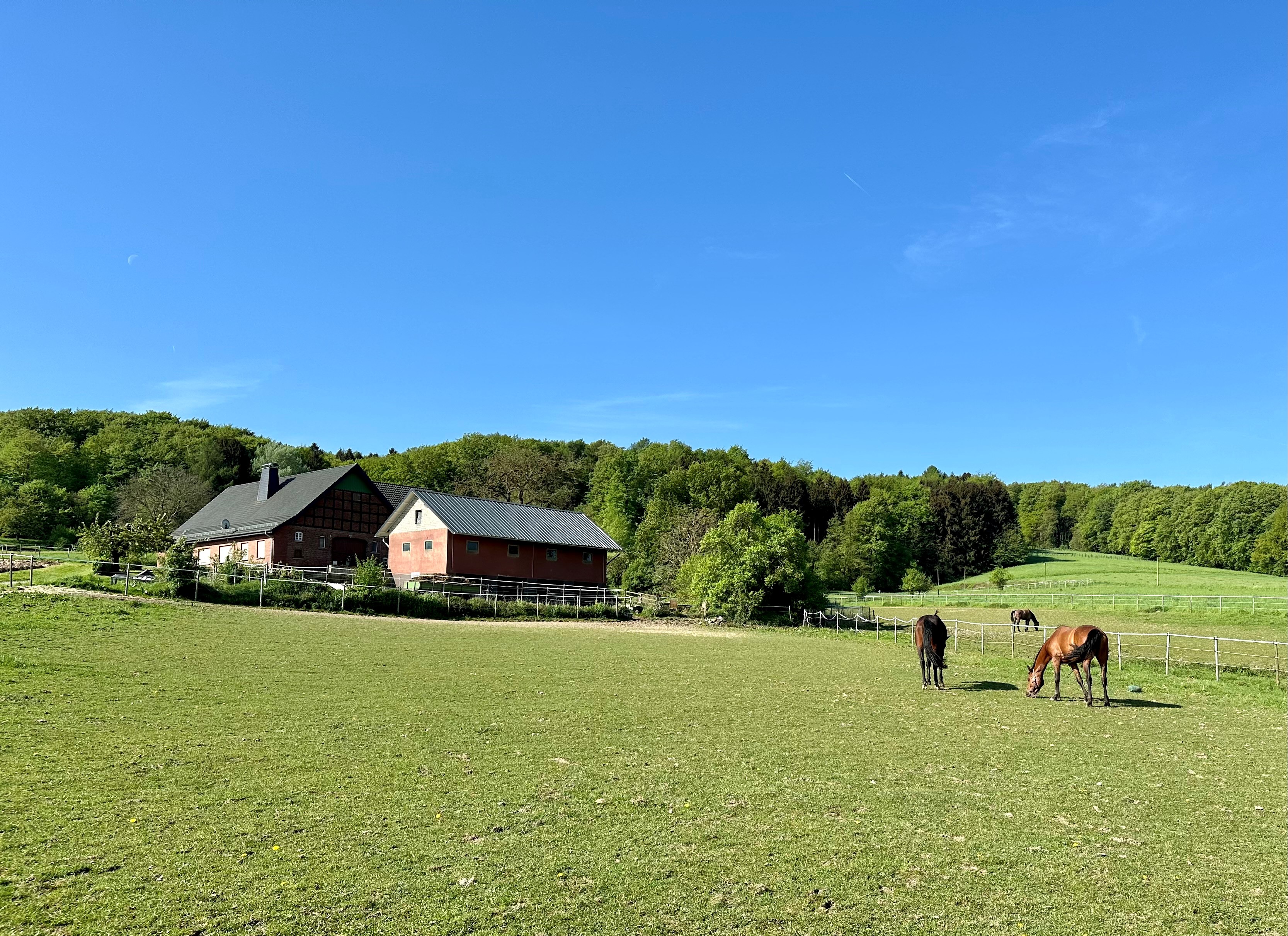 Resthof mit Pferdestall am Wiehengebirge (2,76ha)